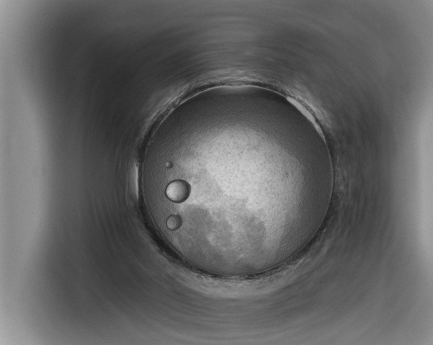 X0000116300014200912071257