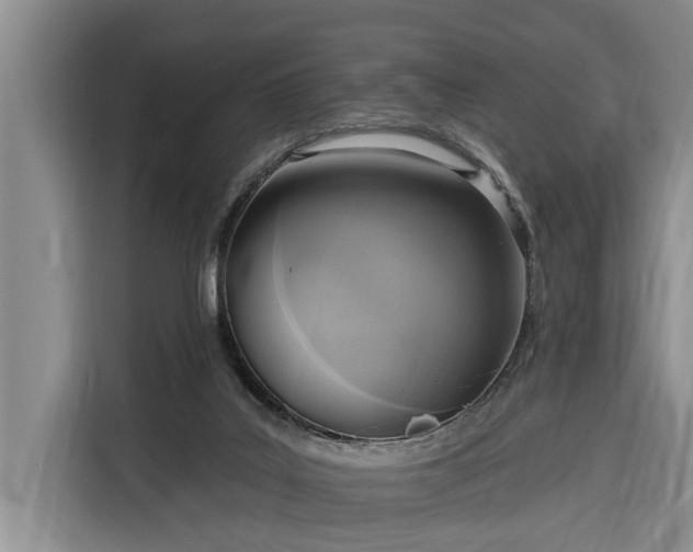 X0000116300019200912071257