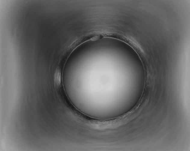 X0000116300021200912071257