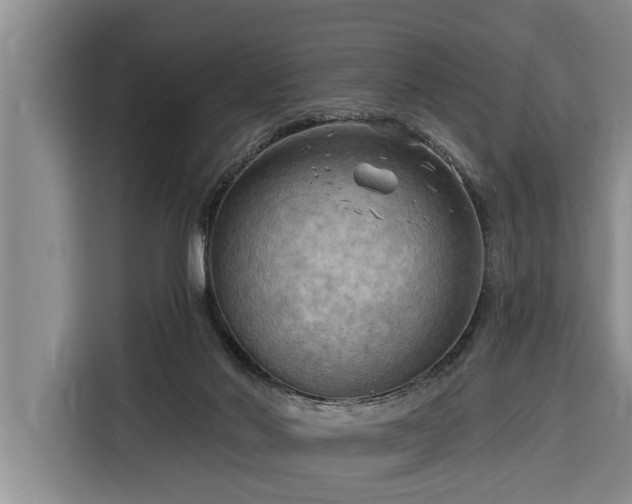 X0000116300022200912071257