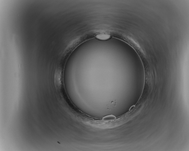 X0000116300023200912071257