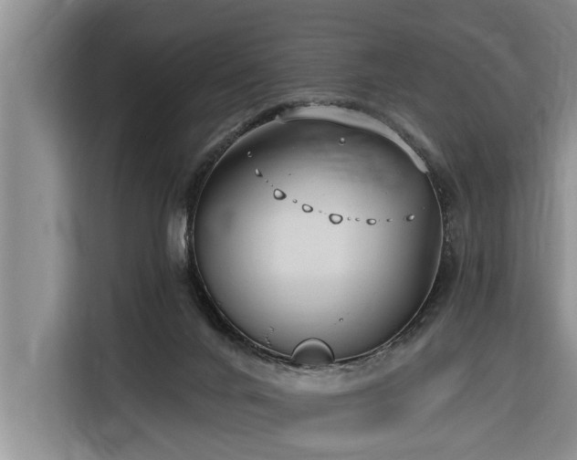 X0000116300024200912071257