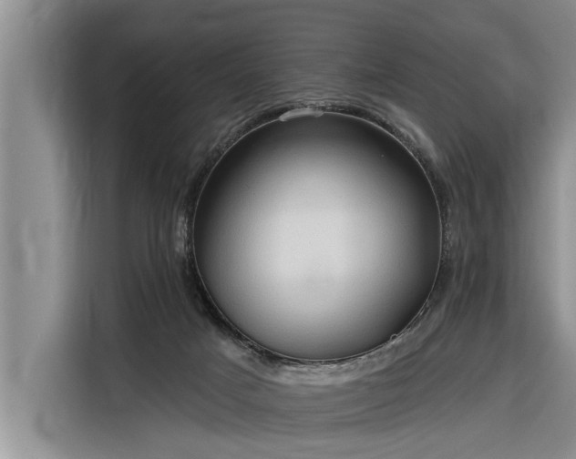 X0000116300025200912071257