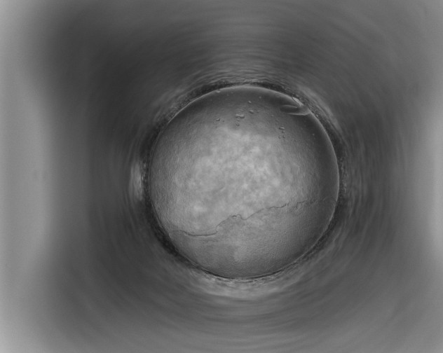 X0000116300026200912071257