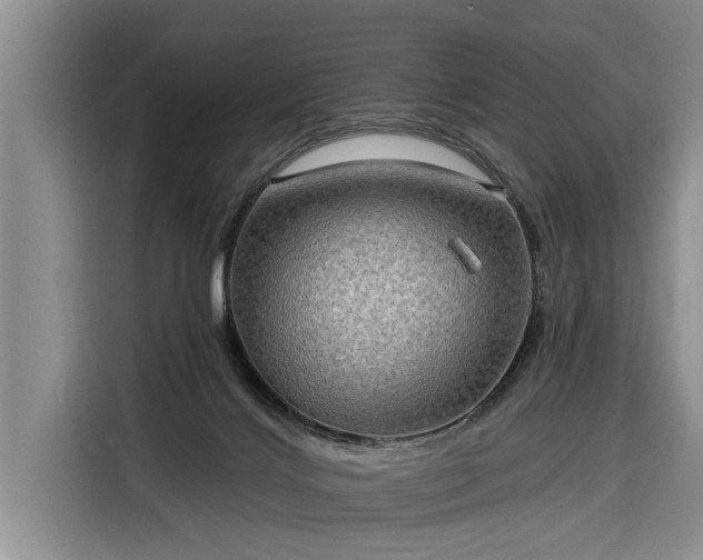 X0000116300028200912071257