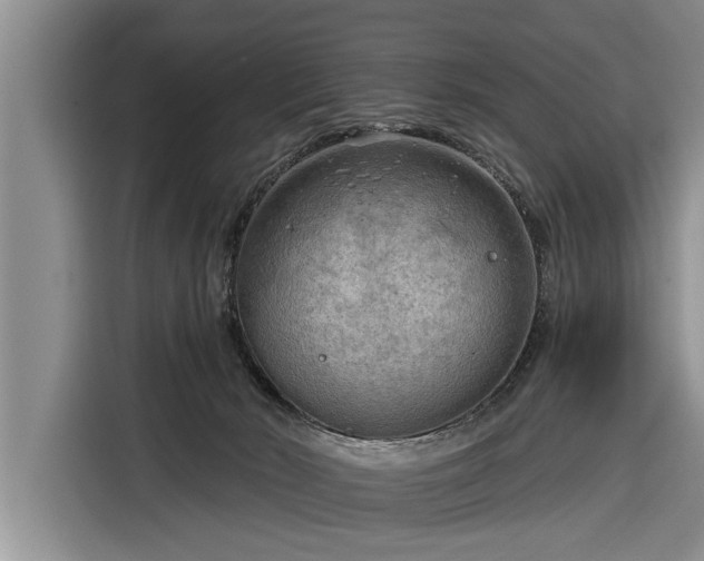 X0000116300030200912071257