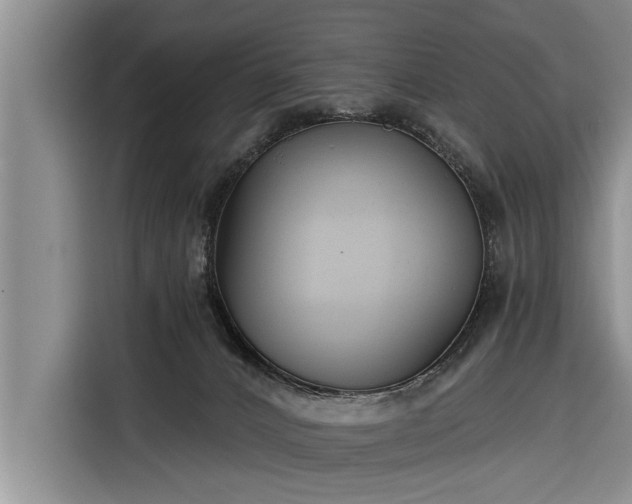 X0000116300032200912071257