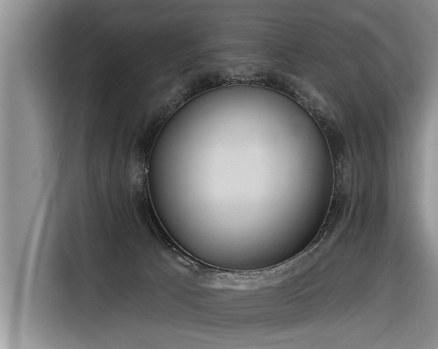 X0000116300033200912071257