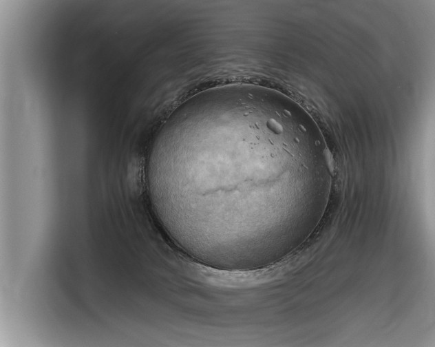 X0000116300034200912071257