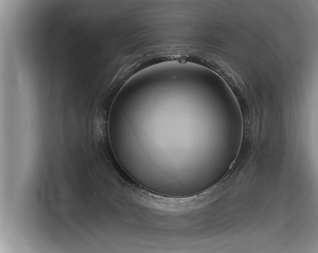 X0000116300035200912071257