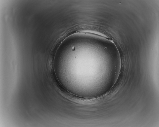 X0000116300036200912071257