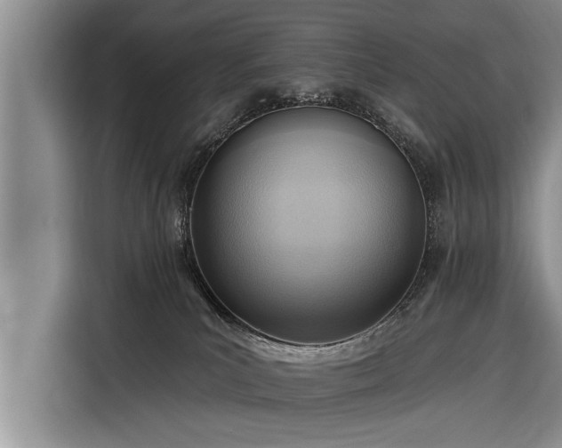 X0000116300039200912071257