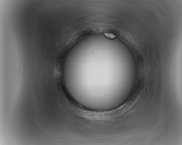 X0000116300040200912071257