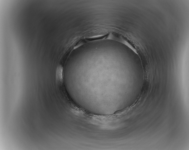 X0000116300041200912071257