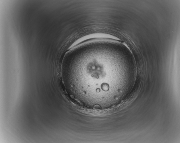 X0000116300044200912071257