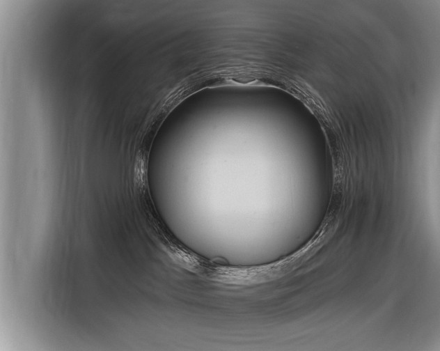 X0000116300045200912071257