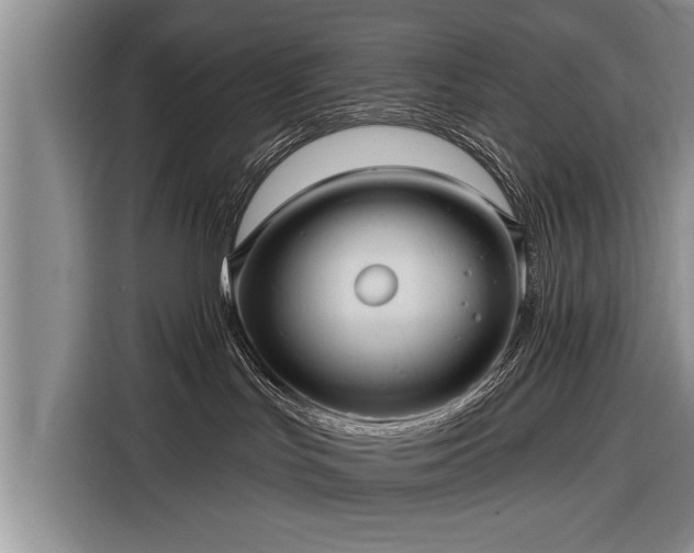 X0000116300047200912071257