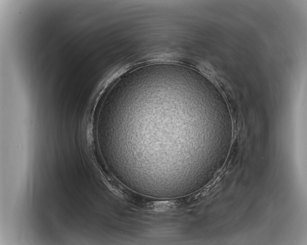 X0000116300050200912071256