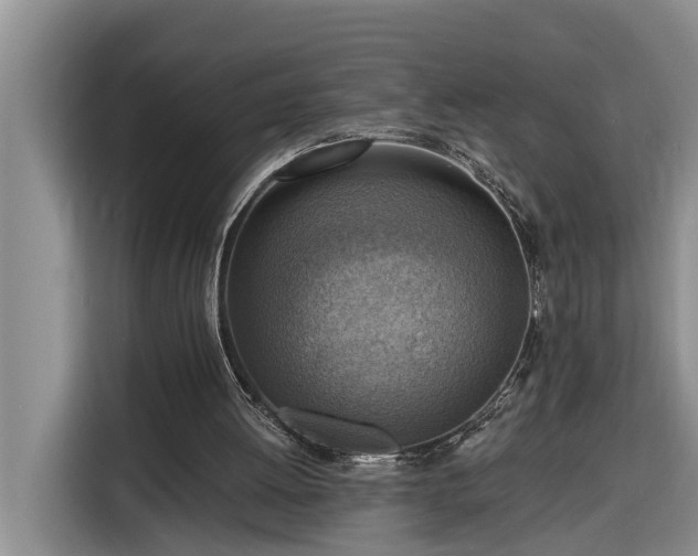 X0000116300052200912071256