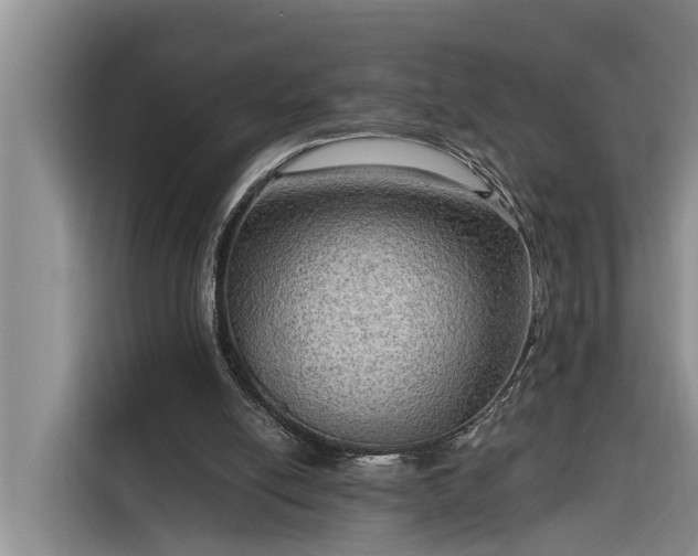 X0000116300054200912071256