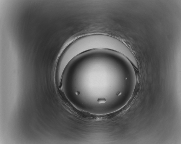 X0000116300056200912071256