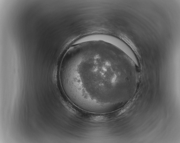 X0000116300058200912071256