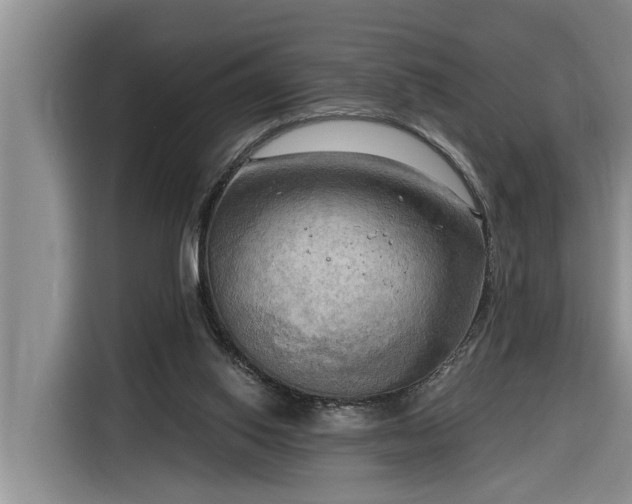 X0000116300062200912071257