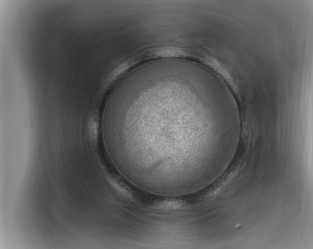 X0000116300063200912071257