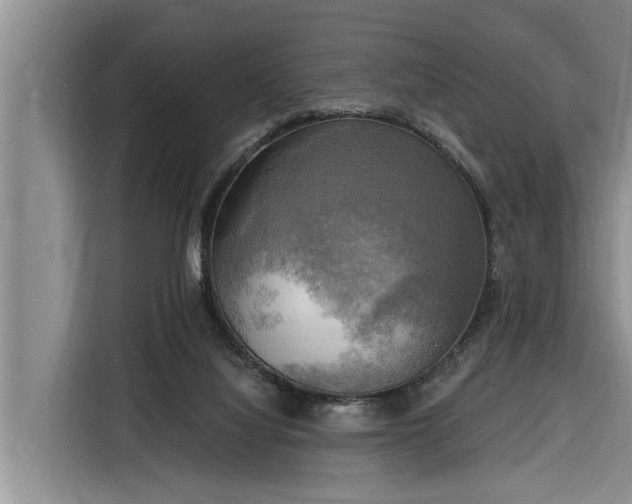 X0000116300068200912071257