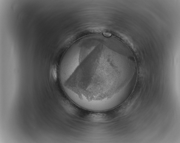 X0000116300069200912071257