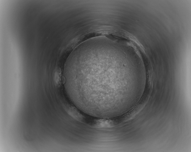 X0000116300073200912071257