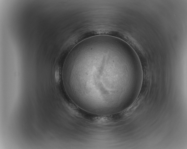 X0000116300074200912071257