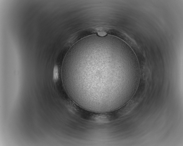 X0000116300075200912071257