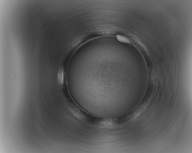 X0000116300076200912071257