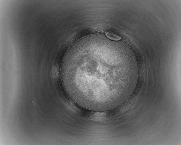 X0000116300081200912071257