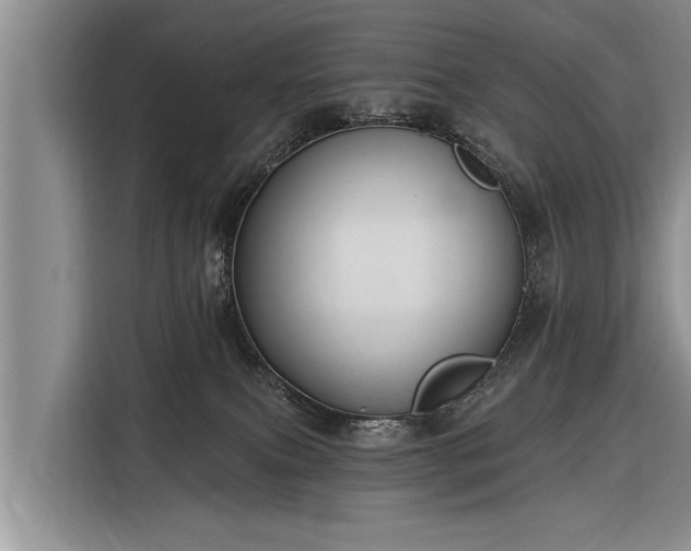 X0000116300087200912071257