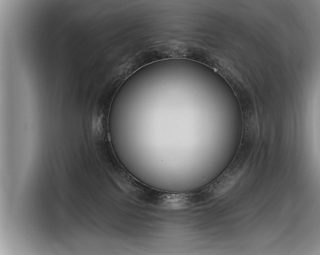 X0000116300088200912071257