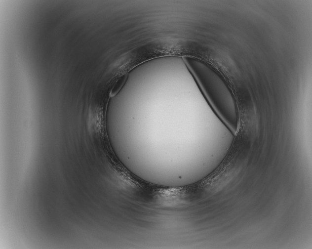 X0000116300092200912071257