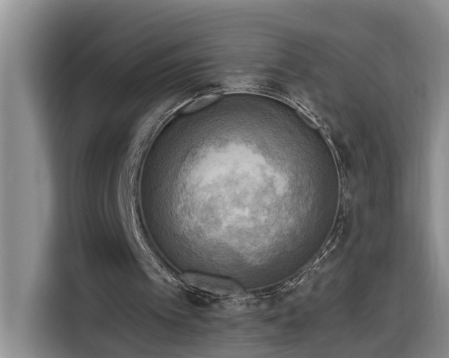 X0000116300097200912071256