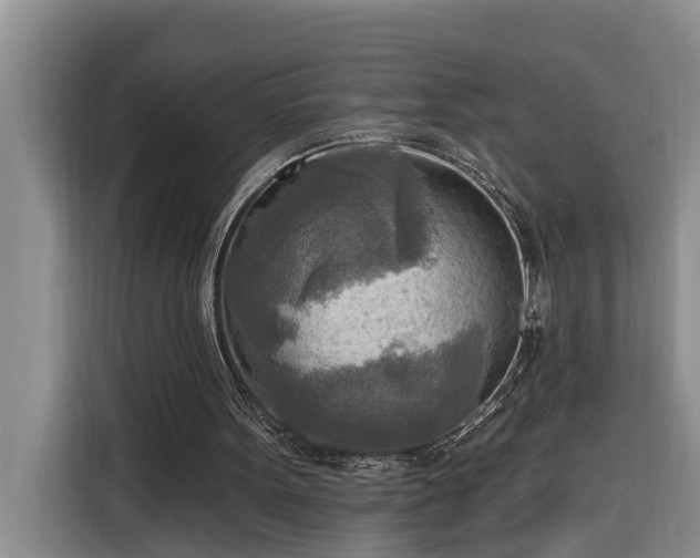 X0000116300099200912071256