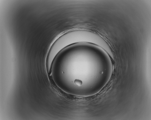 X0000116300100200912071256