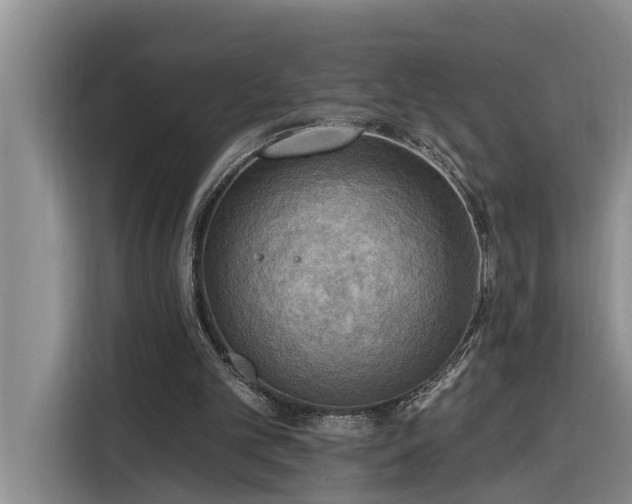 X0000116300101200912071256