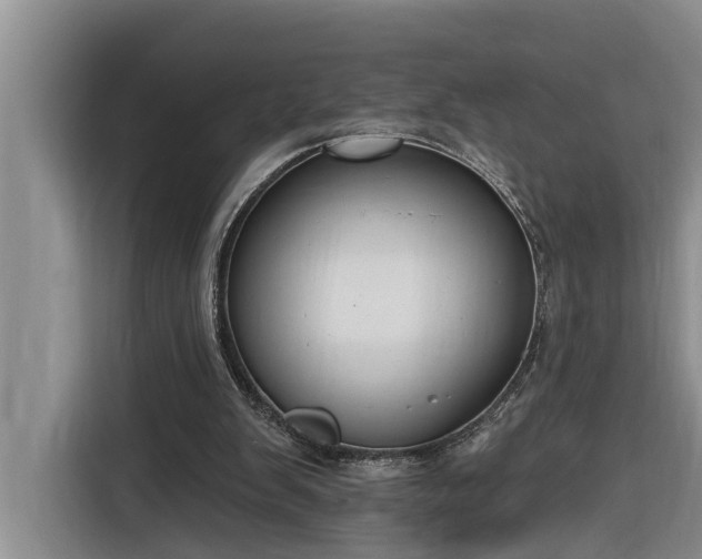 X0000116300103200912071256