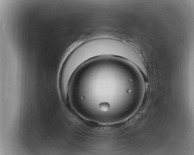 X0000116300104200912071256