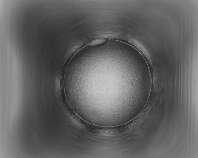 X0000116300105200912071256