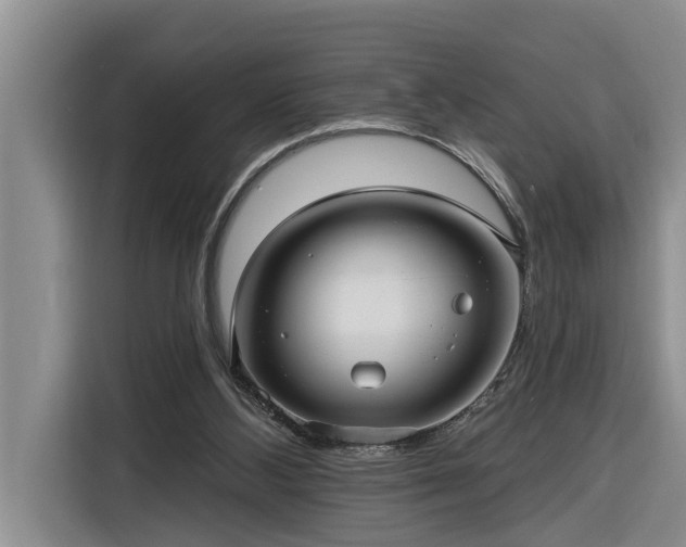 X0000116300108200912071256