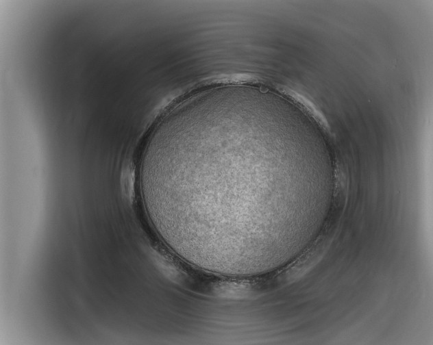 X0000116300110200912071256