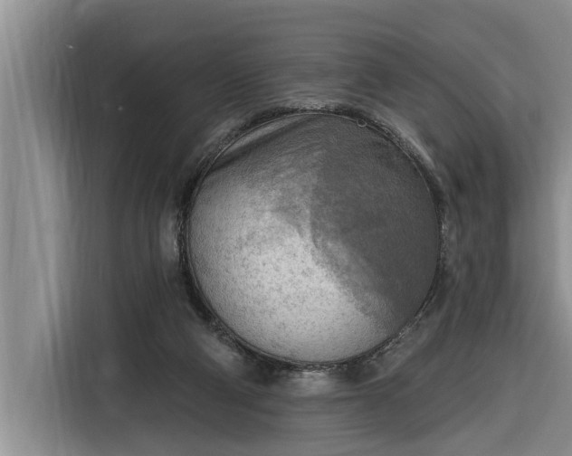 X0000116300114200912071256