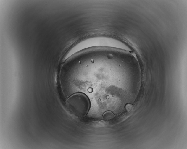 X0000116300115200912071256