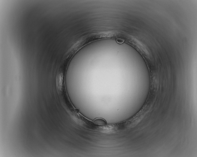 X0000116300118200912071256